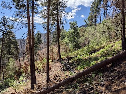 Palisades / Butterfly Trailhead (Mt. Lemmon)