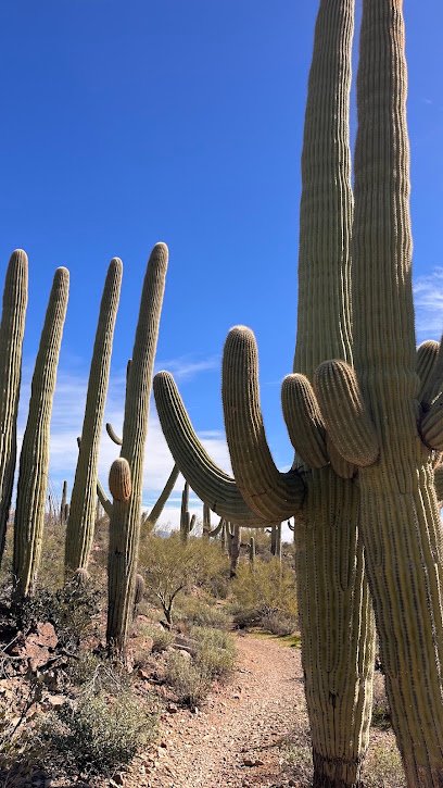 Sweetwater Preserve
