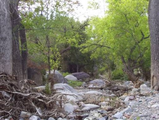 Madera Canyon Recreation Area
