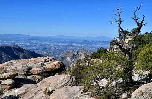 Windy Point Vista