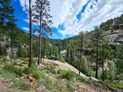 Marshall Gulch Trailhead (Mt. Lemmon)