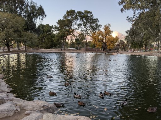 Gene C. Reid Park
