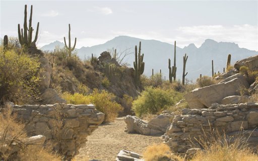Honey Bee Canyon Park