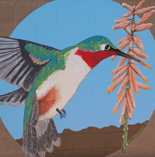 Miramonte Pocket Park