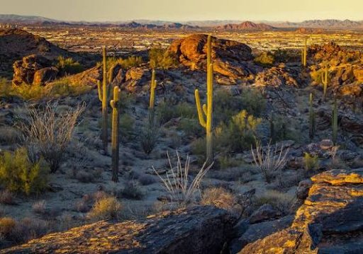 South Mountain Park and Preserve