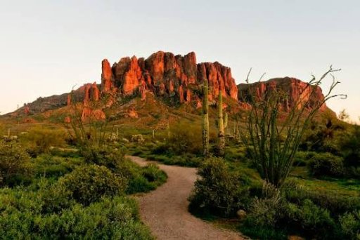 Lost Dutchman State Park