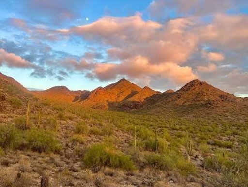 McDowell Sonoran Preserve (Gateway Trailhead)