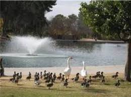 Gene C. Reid Park