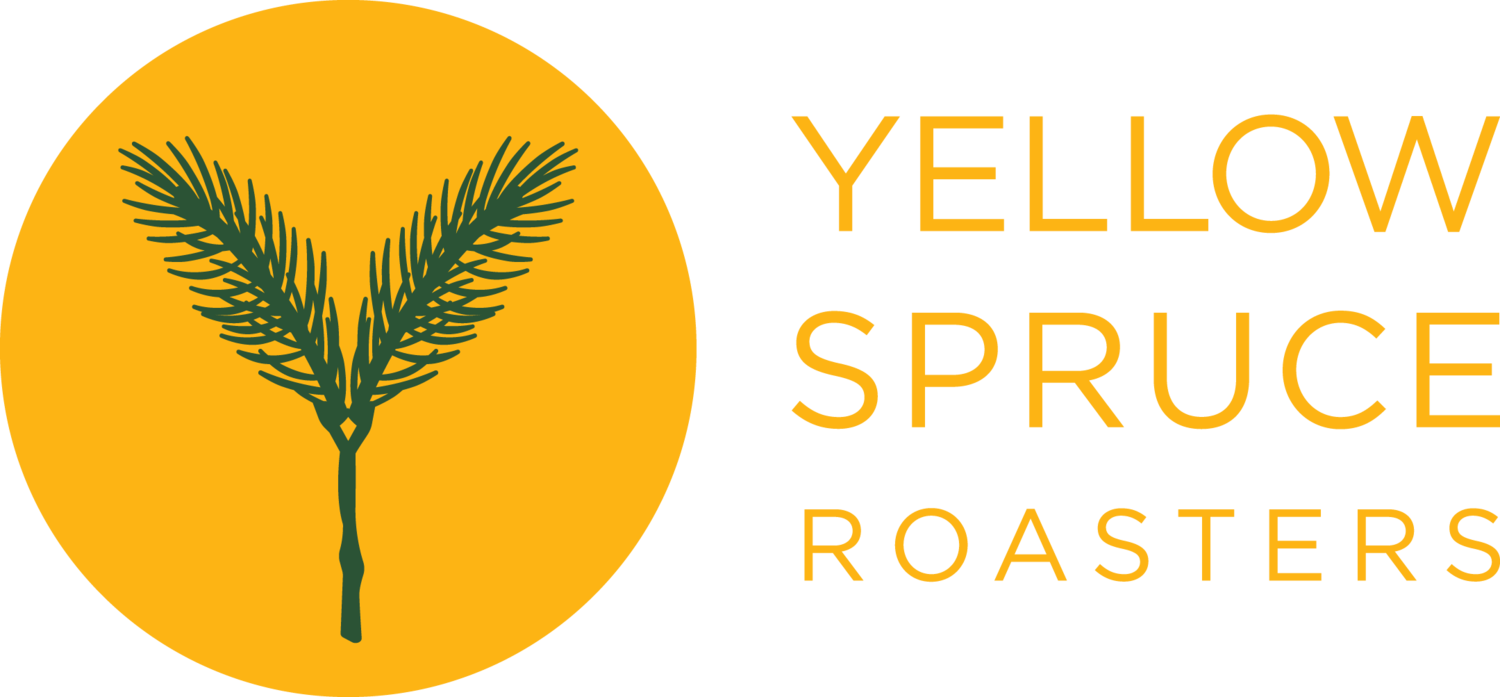 Yellow Spruce Wine Bar